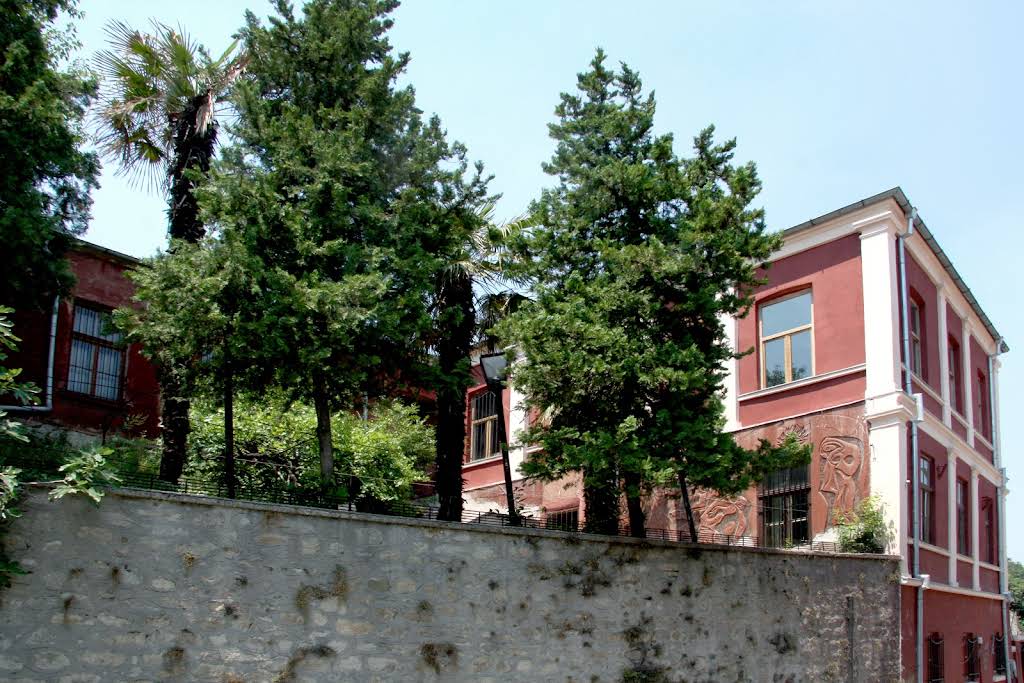 Trachycarpus Bulgaria